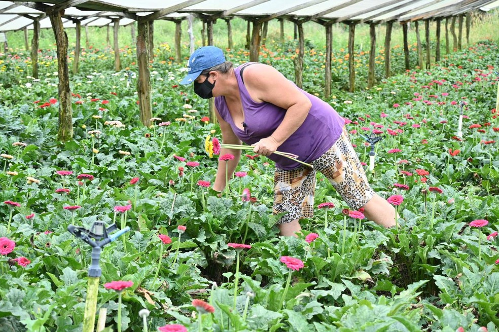 Mulheres se destacam no agroneg&oacute;cio no estado do Rio de Janeiro | Regi&atilde;o  Serrana | G1
