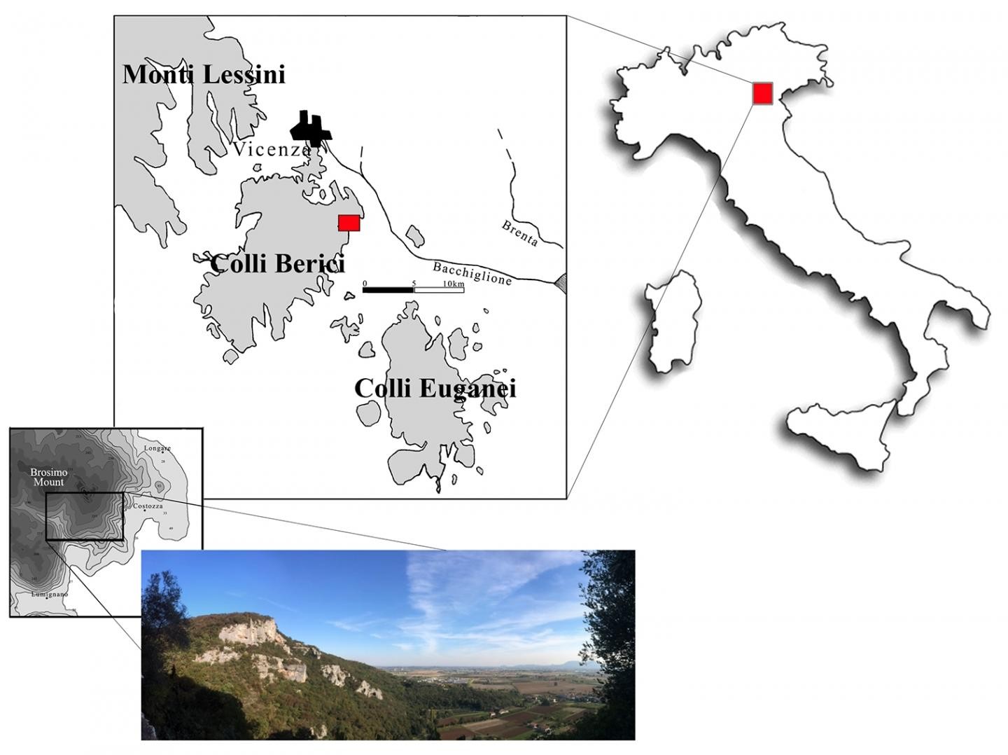 Dente foi encontrado nas colinas de Berici, norte da Itália (Foto: Journal of Human Evolution)