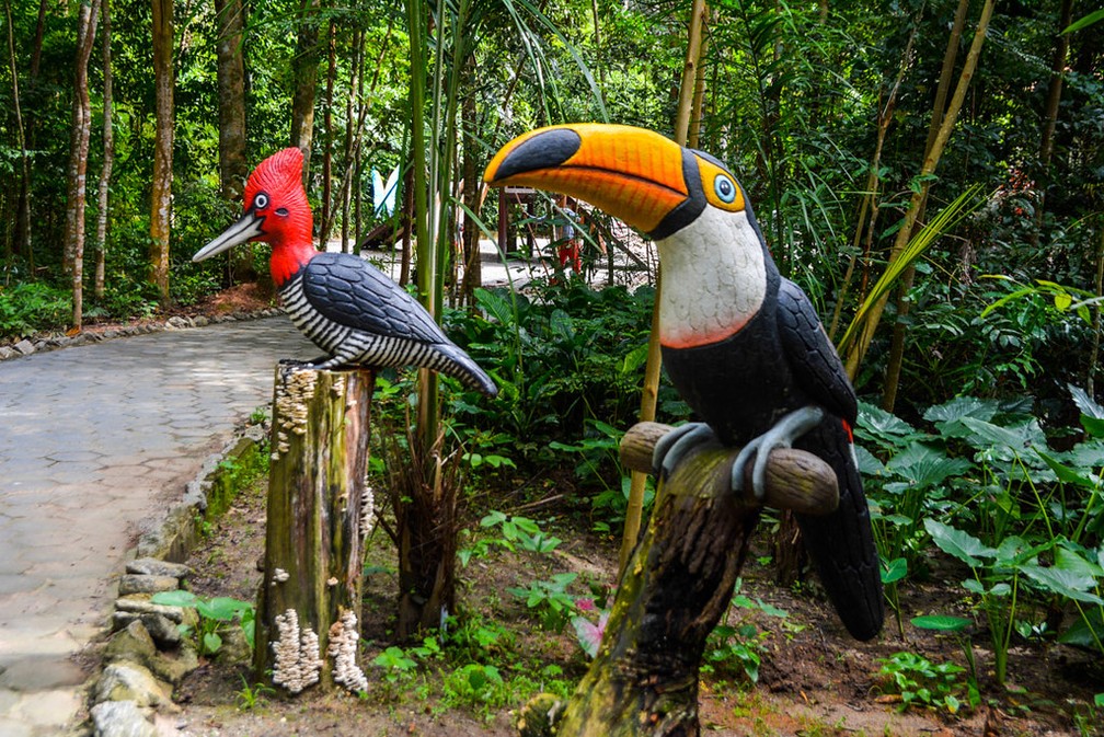 Estátuas de animais no Bioparque da Amazônia — Foto: PMM/Divulgação