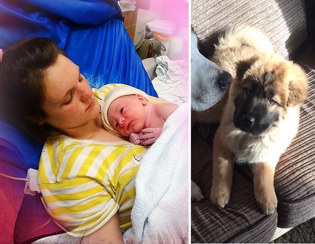 À direita, o bebê que morreu com a mãe, Abigail; à esquerda, o cão da família em foto tirada no ano passado (Foto: Reprodução/Daily Mail)