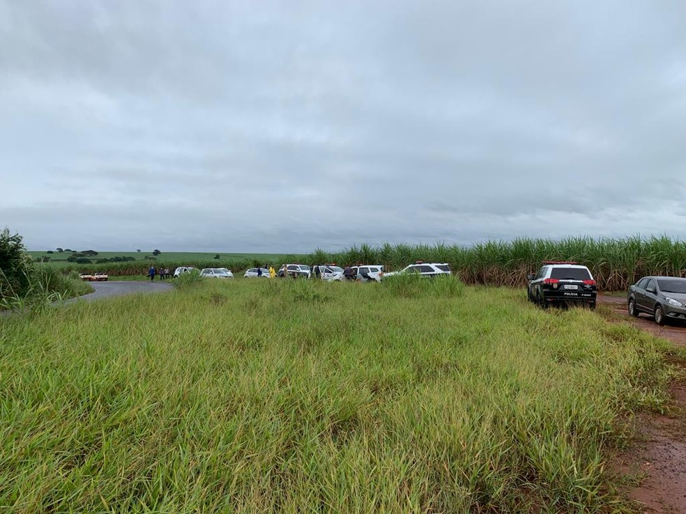 Homem é encontrado morto em canavial — Foto: Mariane Santos/TV Fronteira 