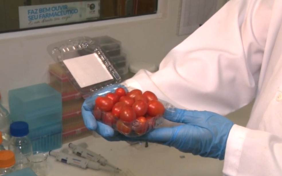 Pesquisa da Unicamp desenvolve inteligência artificial capaz de identificar se um alimento é orgânico ou não — Foto: Luciano Machado/EPTV