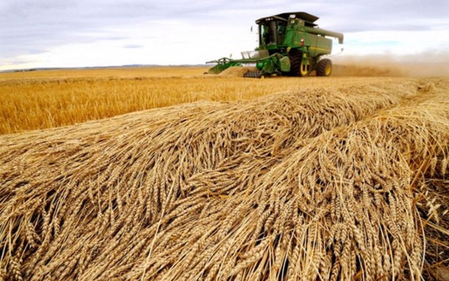 Lavoura de trigo na Argentina, principal fornecedor externo do Brasil. Com fortalecimento das relações, rodada bilateral visa fortalecer comércio