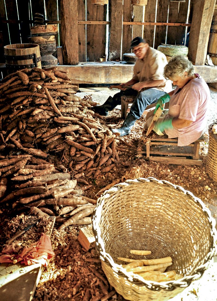 Os engenhos de farinha no litoral catarinense preservam a tradição da produção da bijajica, bolo feito com massa de mandioca (Foto: Fernando Angeoletto)