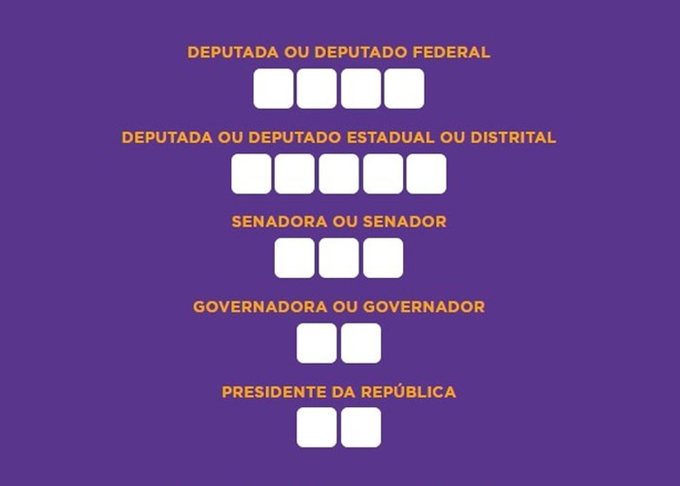 Eleitores podem utilizar a 'colinha' com os números dos candidatos durante a votação — Foto: Tribunal Superior Eleitoral