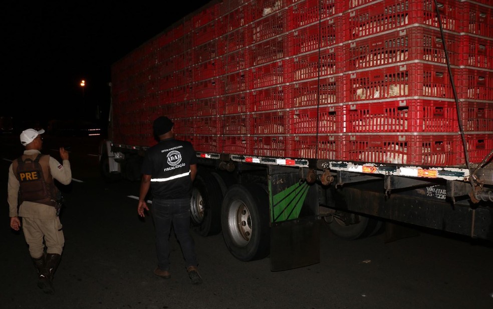 Nove toneladas de frango foram encontradas transportadas de maneira irregular (Foto: Divulgação/ SSP-BA)
