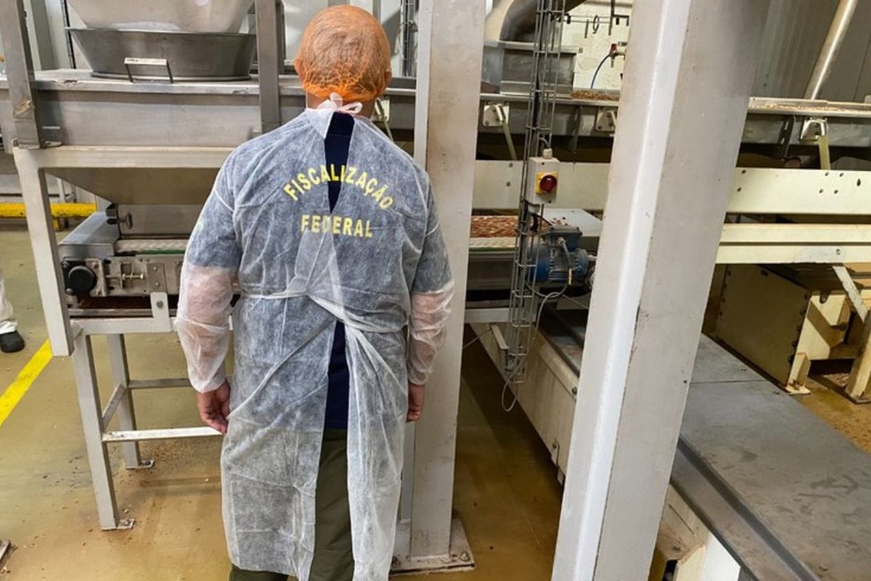 Amendoins foram suspensos de comercialização e processamento por estarem contaminados por aflatoxina na região de Marília — Foto: Ministério da Agricultura, Pecuária e Abastecimento /Divulgação