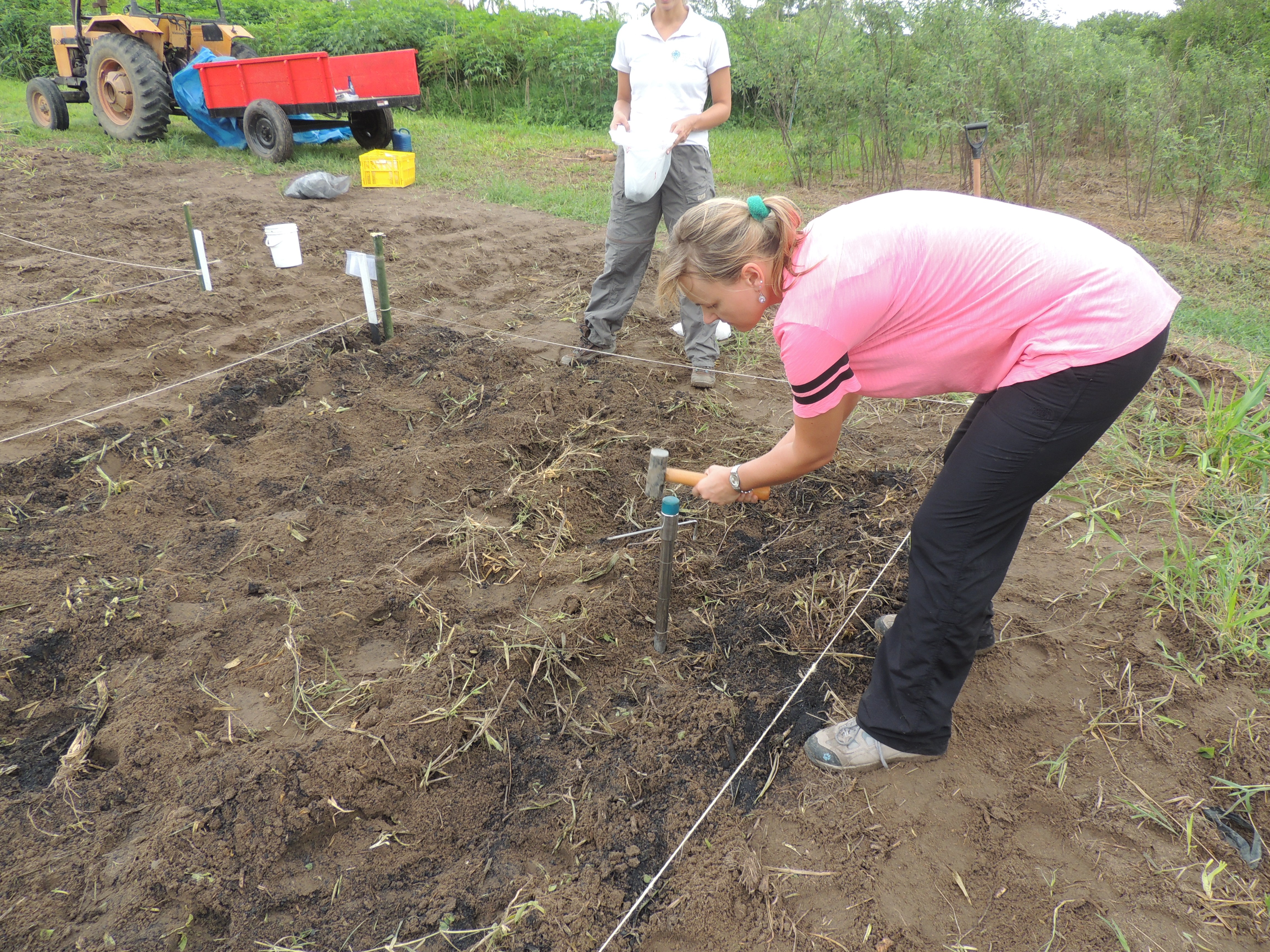 Pesquisadora desenvolveu estudo sobre manejo do solo (Foto: Divulgação)
