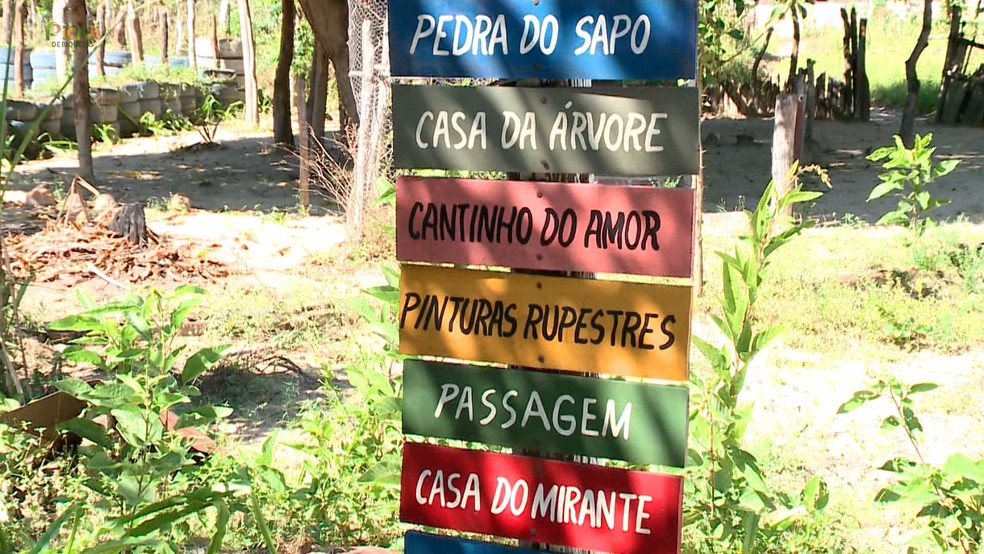 Placas informativas no Quintal de Curiólogo — Foto: TV Clube
