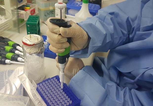 Laboratório; pesquisas; vacina (Foto: Sumaia Villela/Agência Brasil)