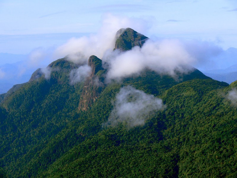 Serra da Mocidade, em Roraima, onde pesquisadores do INPA foram atras de espécies novas de bichos e plantas (Foto: Gabriel Santos do Nascimento/Wikimedia Commons)
