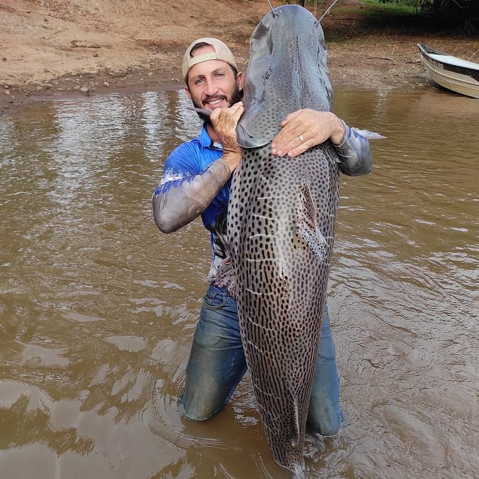 Agricultor captura peixe de 1,75m e mais de 60 Kg no rio Dourados, em MS. — Foto: Rony Dronov/Arquivo pessoal