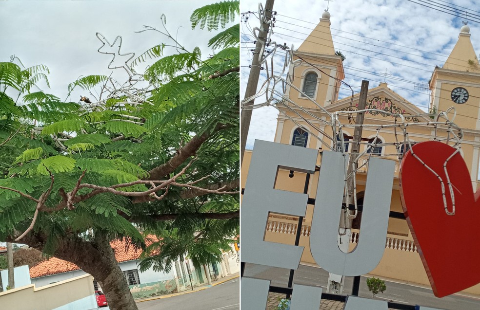 Enfeites de Natal foram colocados em cima de árvores em Guareí — Foto: Portal Guareí/Divulgação