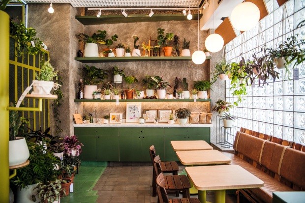 Plantas em cafés têm atraído visitantes apaixonados por botânica - Casa e  Jardim | Paisagismo