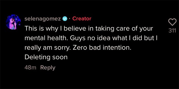 Selena Gomez apologized for alleged indirect (Photo: Playback / TikTok)