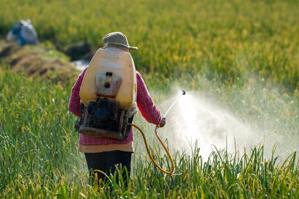 Trabalhador rural aplica agrotóxico em plantação — Foto: SES/Divulgação