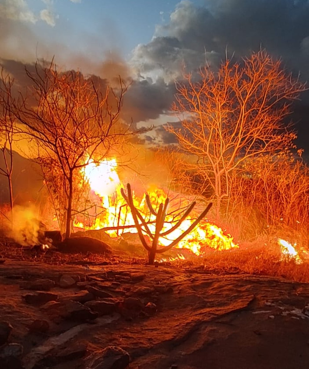 Corpo de Bombeiros registra cinco inc&ecirc;ndios florestais em menos de 24h no interior do RN &mdash; Foto: Divulga&ccedil;&atilde;o/CBMRN