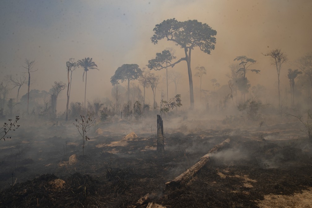 Fogo consome terras recentemente desmatadas e queimadas por pecuaristas perto de Novo Progresso, no Pará, em 23 de agosto de 2020. Incêndio e desmatamento na Amazônia, na região Norte do Brasil. — Foto: Andre Penner/AP