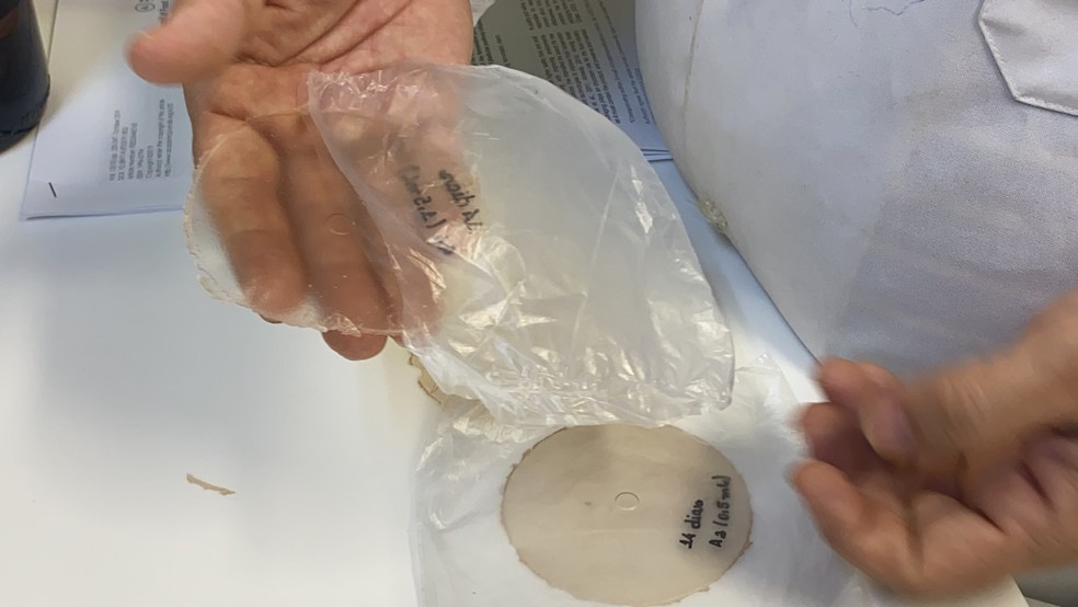 Filme biodegradável feito com fécula do cará pode reduzir ...