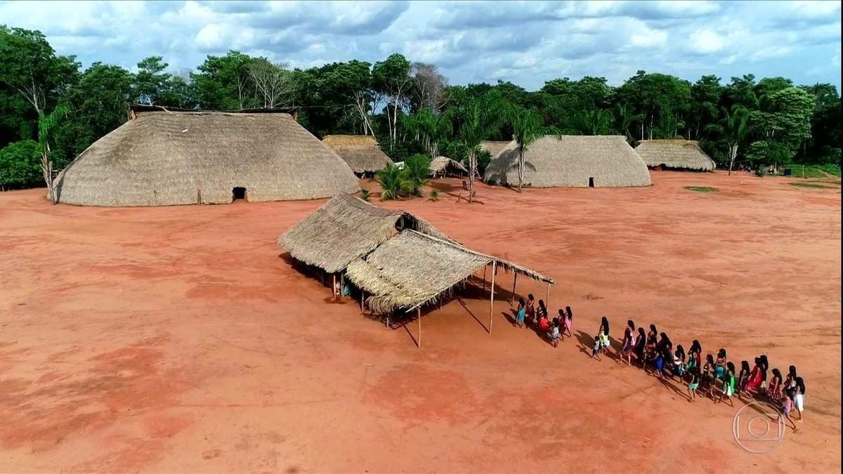 Projeto reúne agricultores, índios e ambientalistas para reflorestar fazendas de Mato Grosso thumbnail