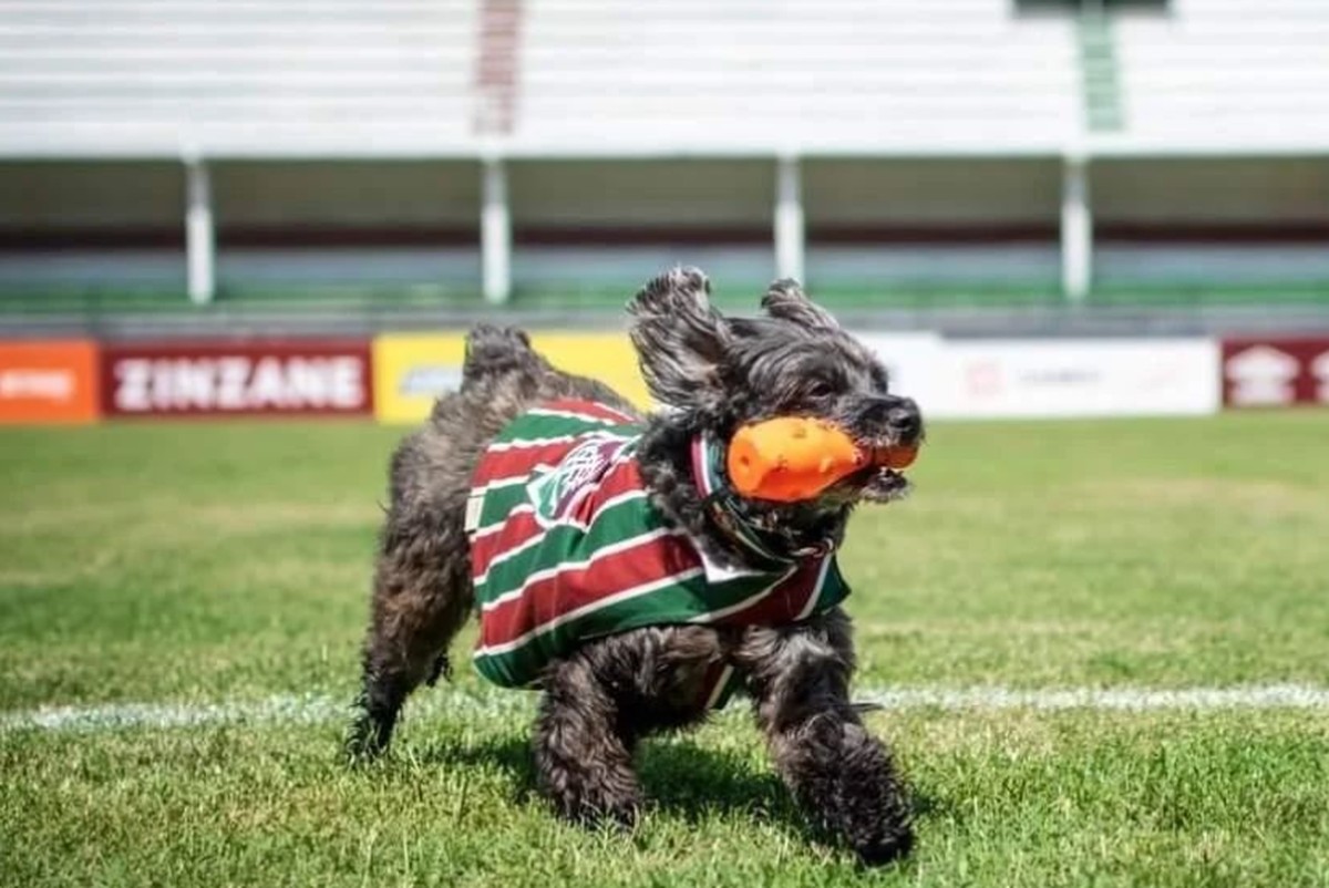 Bichos na Escuta #50: Conheça Pretinha, a cadela tricolor que comemora os gols do Fluminense