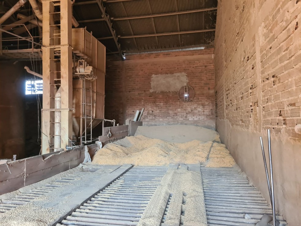 Foram encontradas 38 toneladas de soja em um armazén — Foto: Polícia Civil