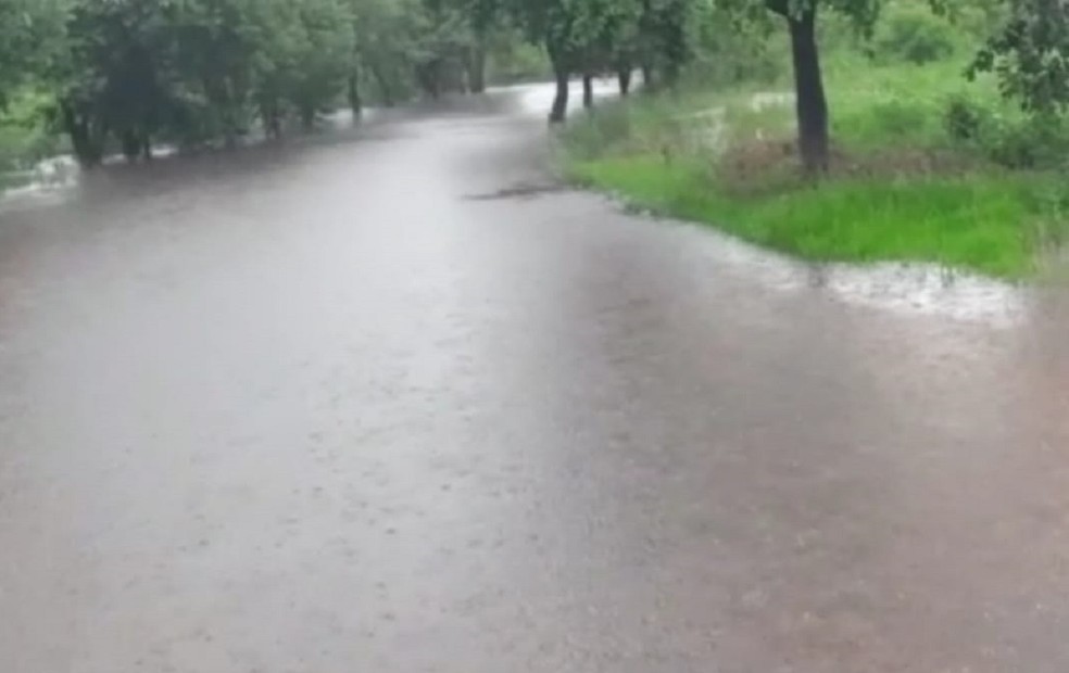 Estrada de acesso ao clube de Ourinhos tomada pelo Rio Paranapanema — Foto: Arquivo pessoal