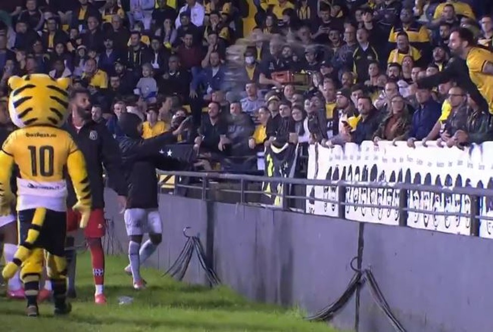 Jogadores reservas da Ponte Preta relataram ofensas racistas por parte da torcida do Criciúma — Foto: SporTV/Reprodução