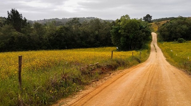 A via ciclística tem 114 km de extensão (Foto: Divulgação)