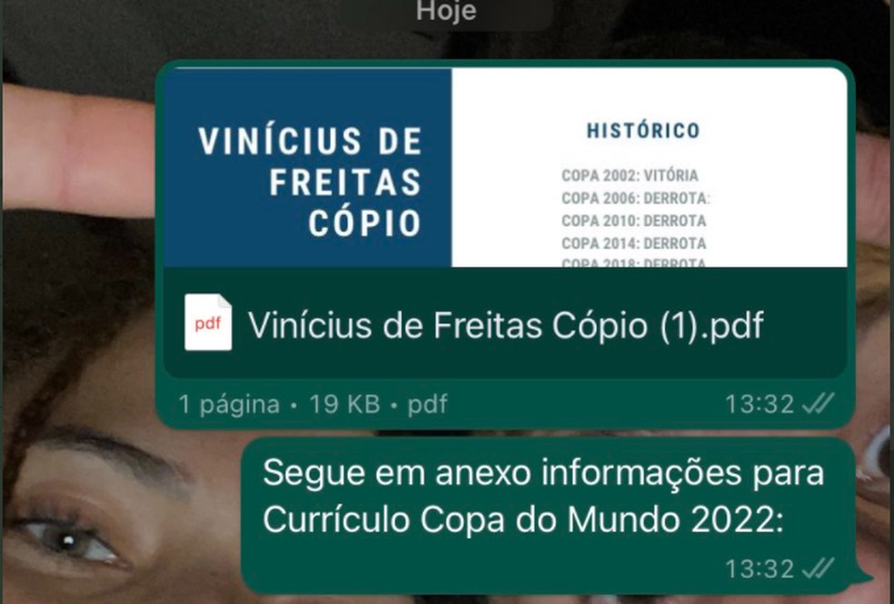 Cecília 'contratando' Vinícius pelo Whatsapp — Foto: Reprodução/Twitter: @vini_copio