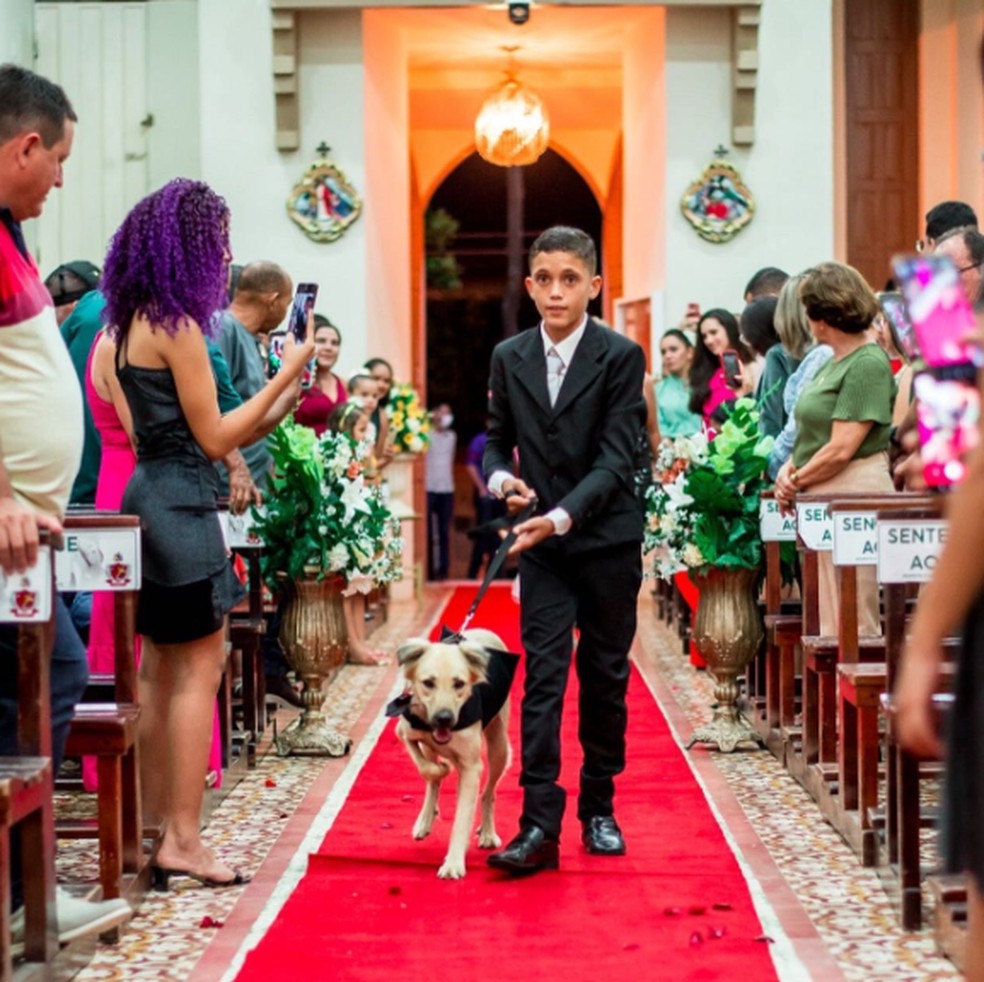 asomadetodosafetos.com - Padre se revolta e encerra a cerimônia porque noivos levaram cães como pajem: 'Isso é o cúmulo'