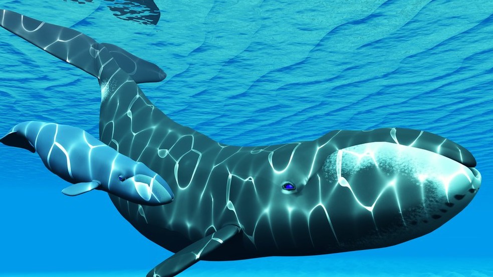 Arte da baleia da Groelândia (Foto: BBC)
