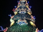 Árvore de natal com 30 m de altura é iluminada na Ponta Negra, em Manaus