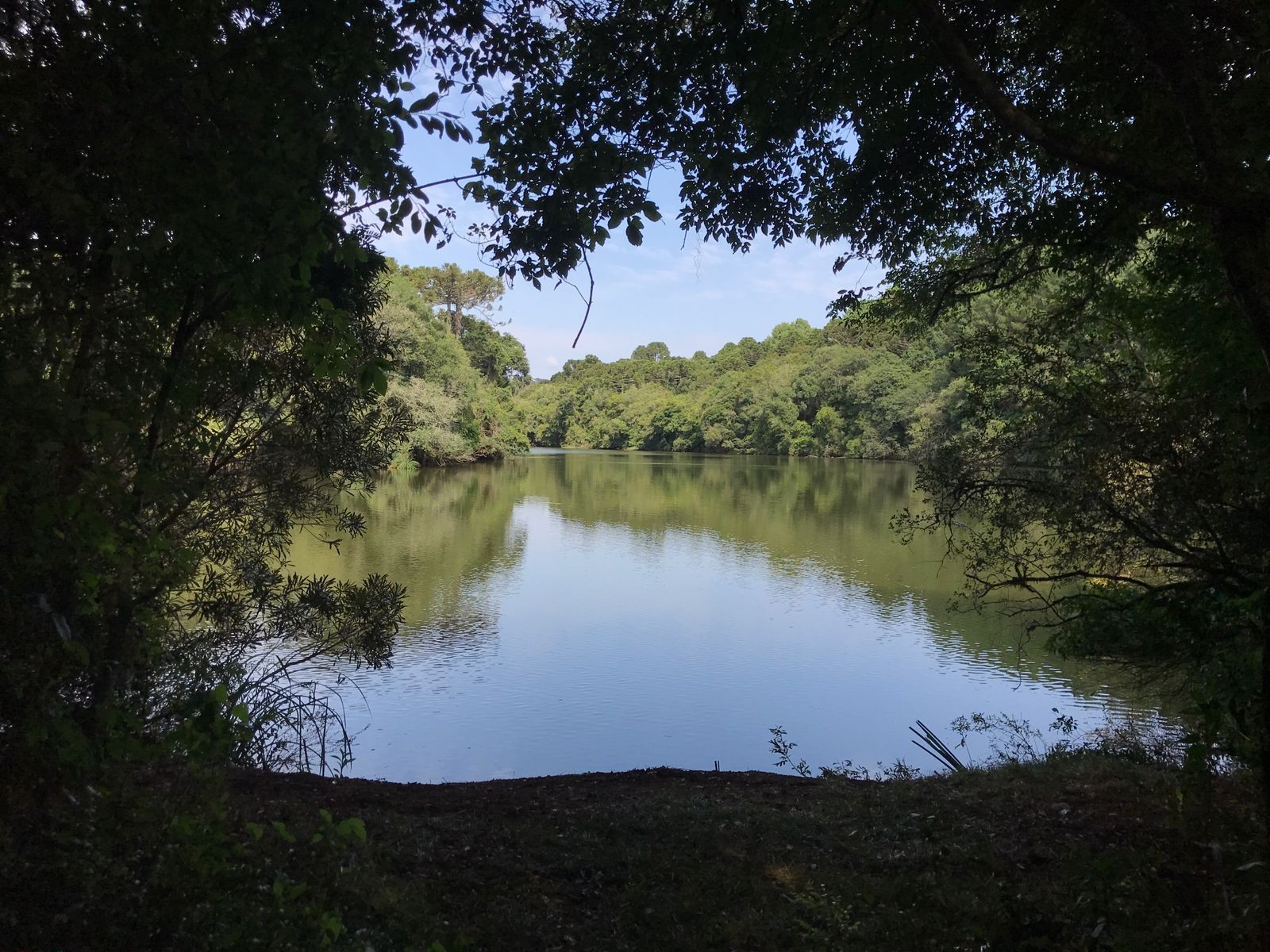 Homem morre afogado após canoa virar ao bater em tronco no Rio Caveiras, na Serra de SC