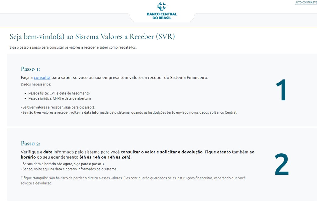 Tela do site do Sistema de Valores a Receber, do Banco Central  — Foto: Reprodução