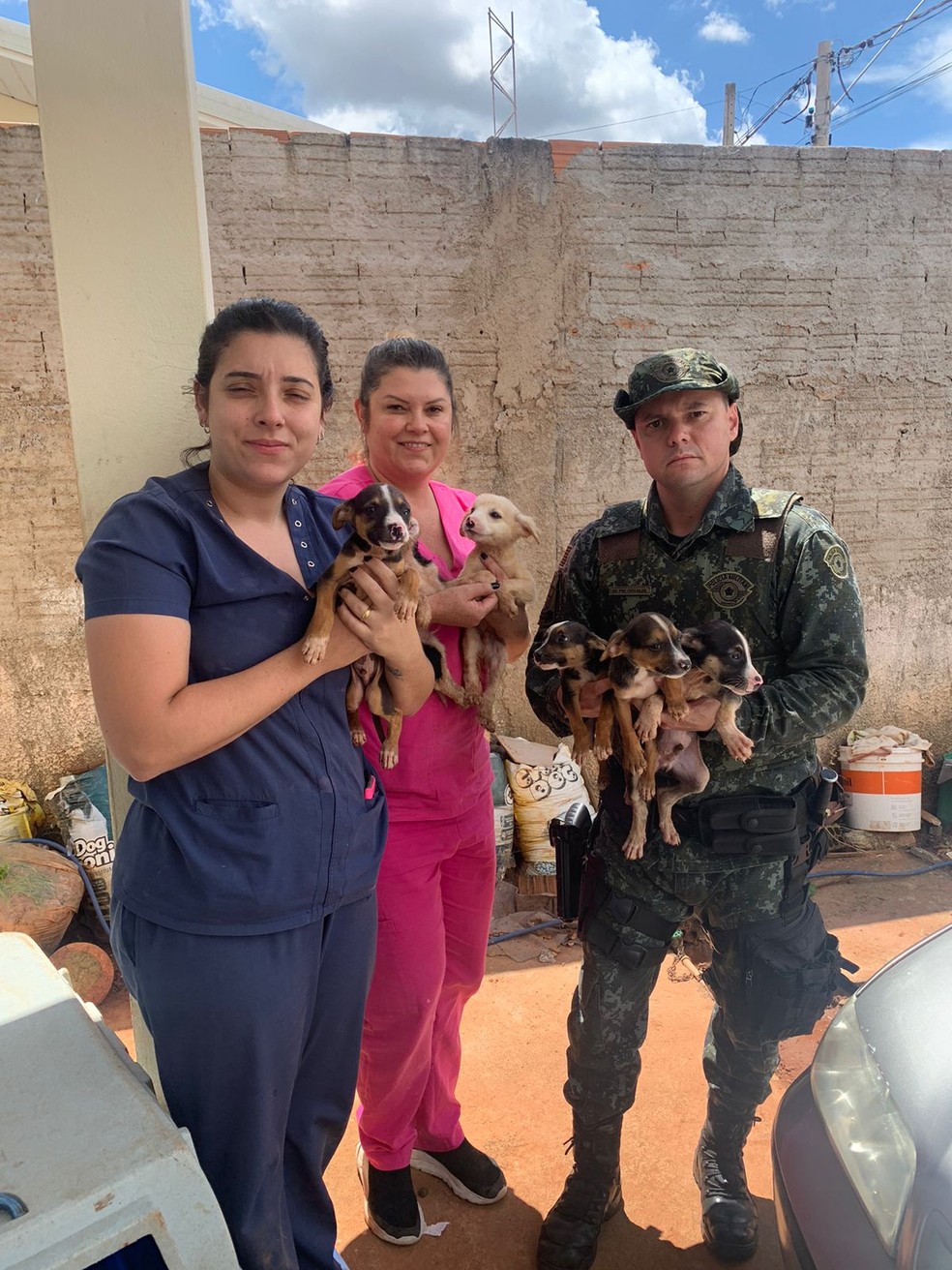 Animais resgatados em Casa Branca  — Foto: ONG Apan