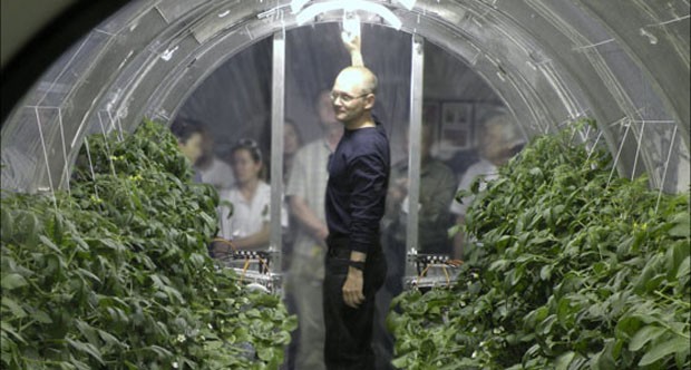 NASA cria estufa para alimentar astronautas no espaço (Foto: Divulgação)