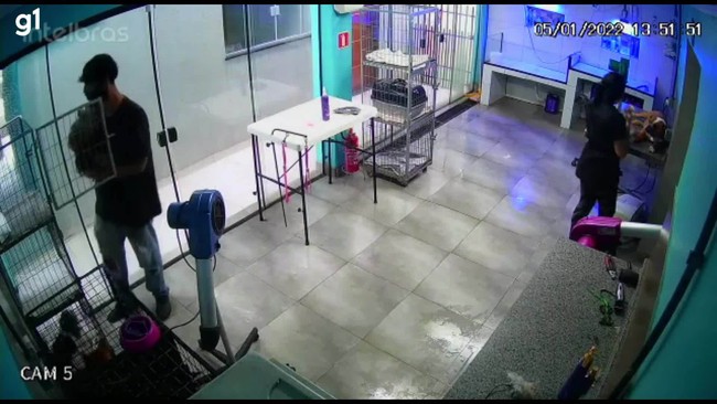 Câmeras flagram funcionário de pet shop dançando com cachorro
