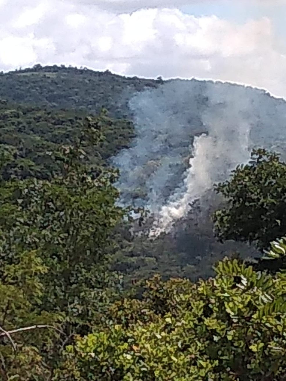 Incêndio no Parque Natural Municipal Professor João Vasconcelos Sobrinho — Foto: WhatsApp/Reprodução