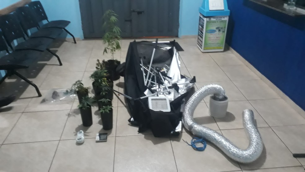 Perseguição em Itápolis termina com apreensão de espingardas, munições e pés de maconha — Foto: Divulgação/Polícia Militar
