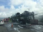 Caminhão-cegonha pega fogo na Rio-Santos em Caraguatatuba, SP