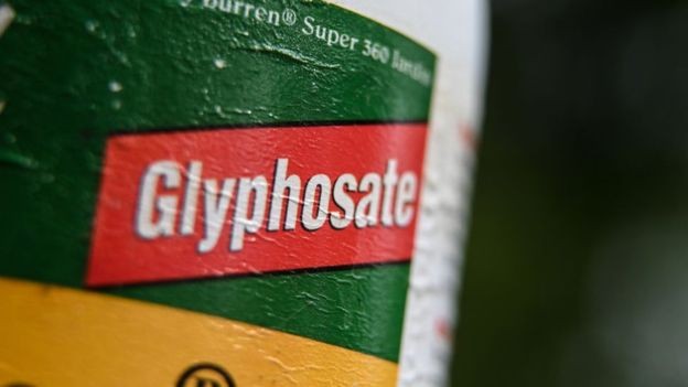 A proibição do glifosato é discutida em vários países europeus (Foto: AFP via BBC)