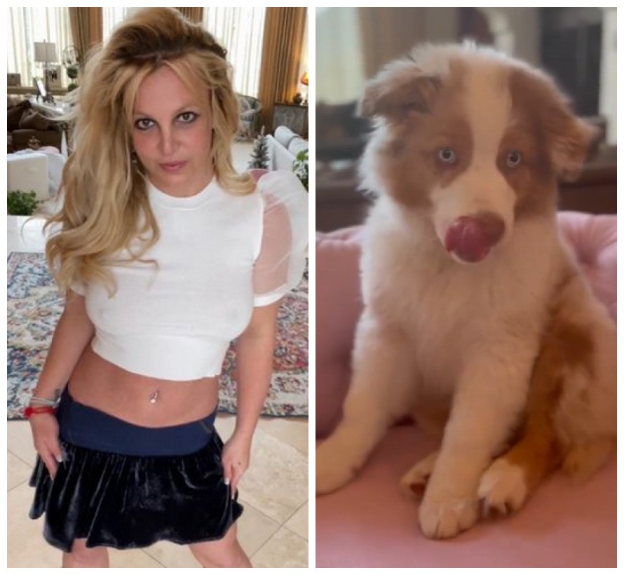 A cantora Britney Spears e o cachorrinho Sawyer, alvo da declaração de amor da artista (Foto: Instagram)
