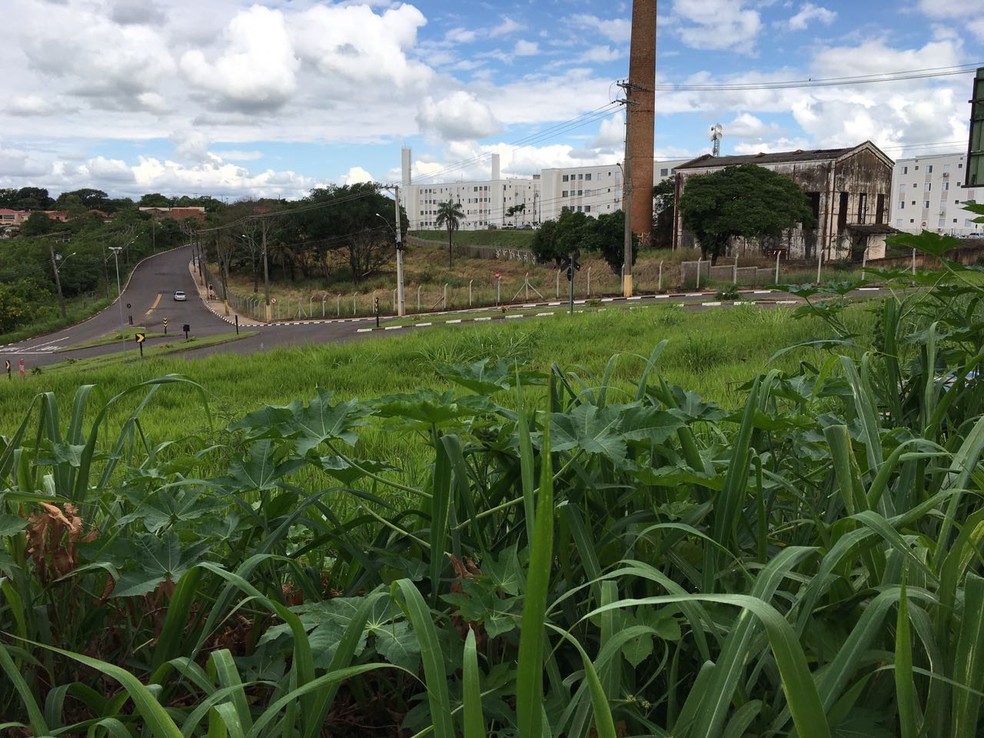 Ferrovia est&aacute; abandonada em Presidente Prudente (Foto: Wellington Roberto/G1)