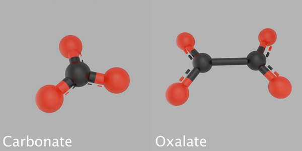 Moléculas de carbonato e oxalato (Foto: James Tralie/NASA/Goddard Space Flight Center)