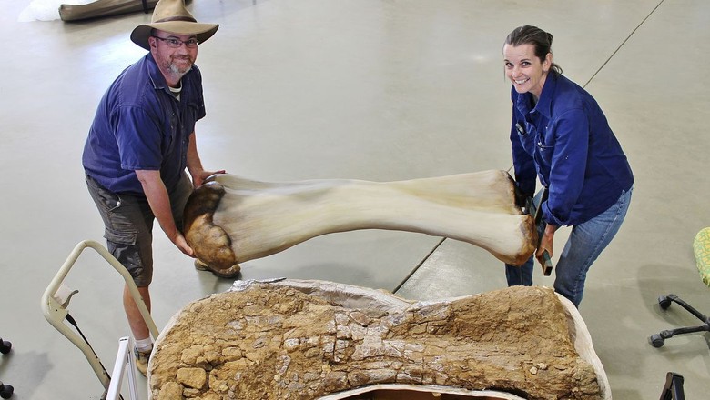 Osso de nova espécie de dinossauro descoberto na Austrália (Foto: Reuters/Eromanga Natural History Museum/)