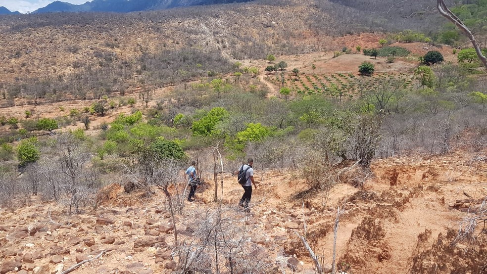 Incêndio voltou a atingir a Serra das Almas, na região de Rio de Contas — Foto: Jony Torres/TV Bahia