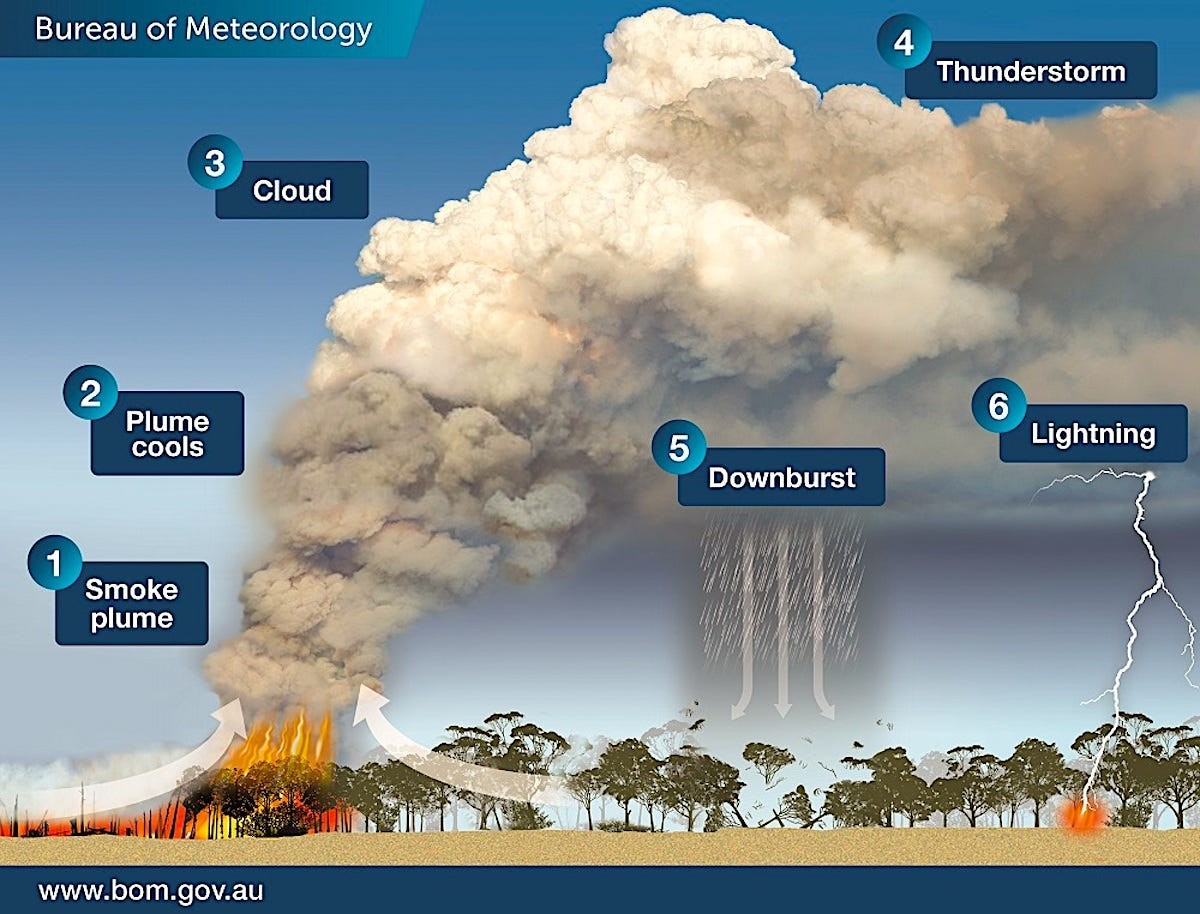 Os incêndios na Austrália estão criando seu próprio microclima, o que gera mais queimadas. Na imagem acima é possível ver o ciclo de formação de nuvens. (1) Nuvens de vapor (2) Vapor esfria (3) Nuvem (4) Tempestade (5) Explosões (6) Raios (Foto: Escritório de Meteorologia de Victoria)