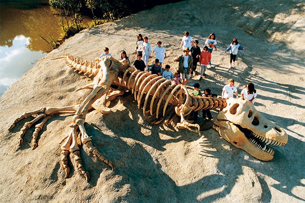 No Sítio do Carroção (SP) tem réplica de fósseis de dinossauro (Foto: Divulgação)