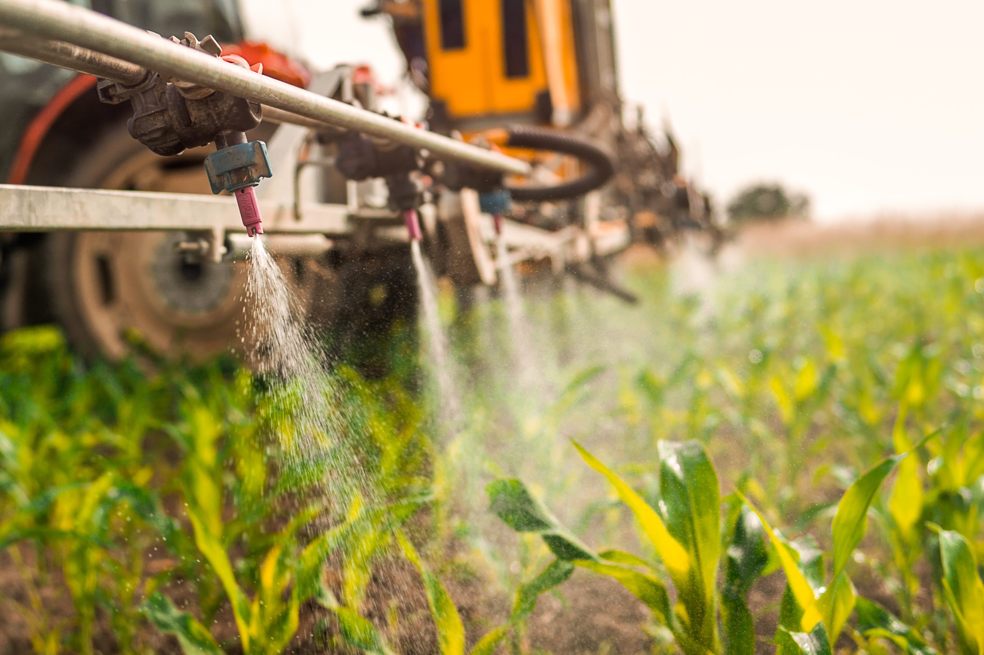 Ihara apresenta nova linha com quatro herbicidas para combater plantas  daninhas - Revista Globo Rural